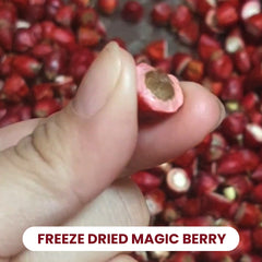 30 Halves | Miracle Fruit Freeze Dried Magic Berry